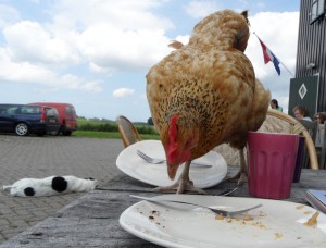 Bijzondere (foto)momenten vergen niet altijd een grote investering...